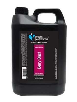 Picture of Groom Professional Berry Blast Shampoo